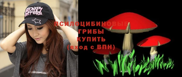 альфа пвп Карпинск
