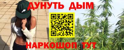 стафф Камышлов