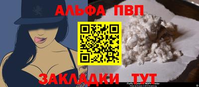 стафф Камышлов