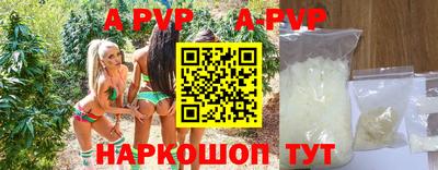 стафф Камышлов