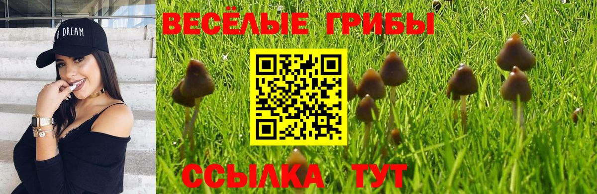 Элиста  Псилоцибиновые грибы Magic Shrooms  Вход с VPN 