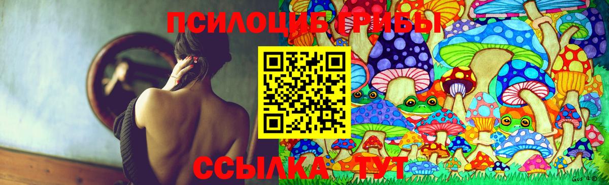 Галлюциногенные грибы Psilocybine cubensis Элиста