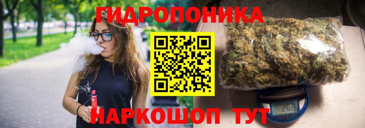 Элиста  Бошки марихуана планчик  Вход с VPN  Марихуана семена 